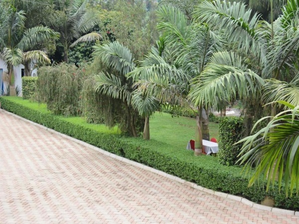 Nejobugg Palace Hotel image 28
